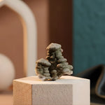 Load image into Gallery viewer, Pyrite with Calcite Cluster HQ -  Pyrite Crystal.